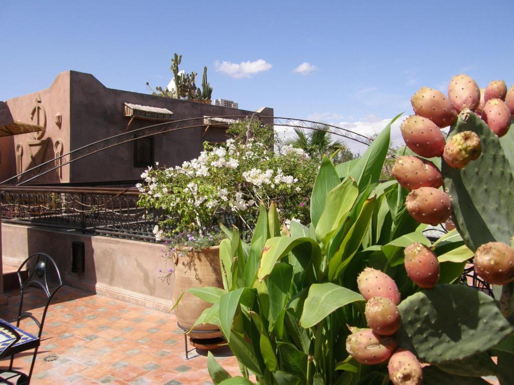 Riad Mehdia Marraquexe Exterior foto